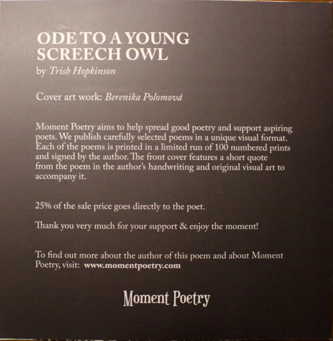 Ode to a Young Screech Owl by Trish Hopkinson - Moment Poetry